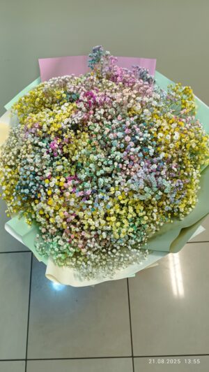 Bukiet z kolorowej gipsówki nr B031